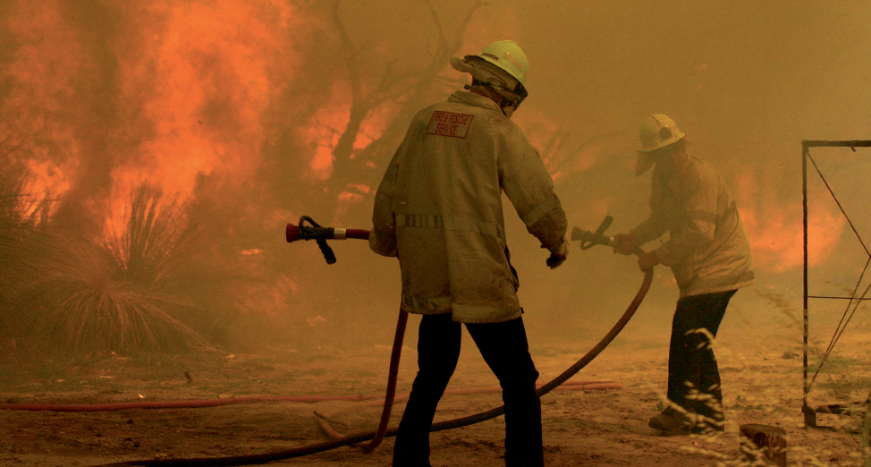 Photograph of firefighters with hoses in a bushfire