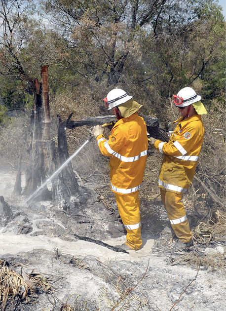 Photograph of firefighters with hoses extinguishing spot fires in bushland