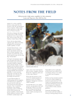 Thumbnail of NOTES FROM THE FIELD: FESA provides USAR canine...