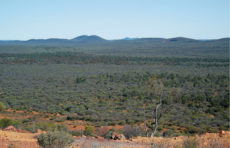 A flat landscape covered with low-growing plants with some low hills in the distance.