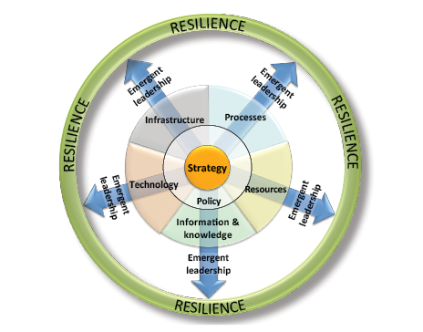 Diagram with strategy at the centre then radiating outwards to policy then five sectors: technology, infrastructure, processes, resources, and information and knowledge. The five sectors radiate outwards to emergent leadership then resilience.