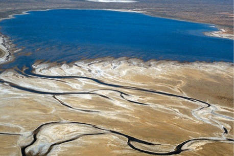 Aerial photo of Lake Eyre Basin showing dry land with snaking water courses.