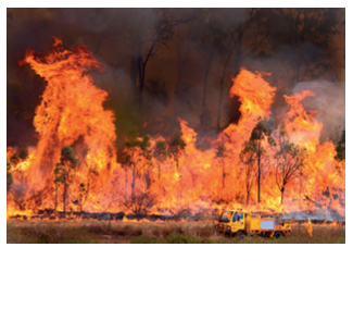 A bushfire truck is stopped in the foreground before a towering wall of fire burning the forest behind it.