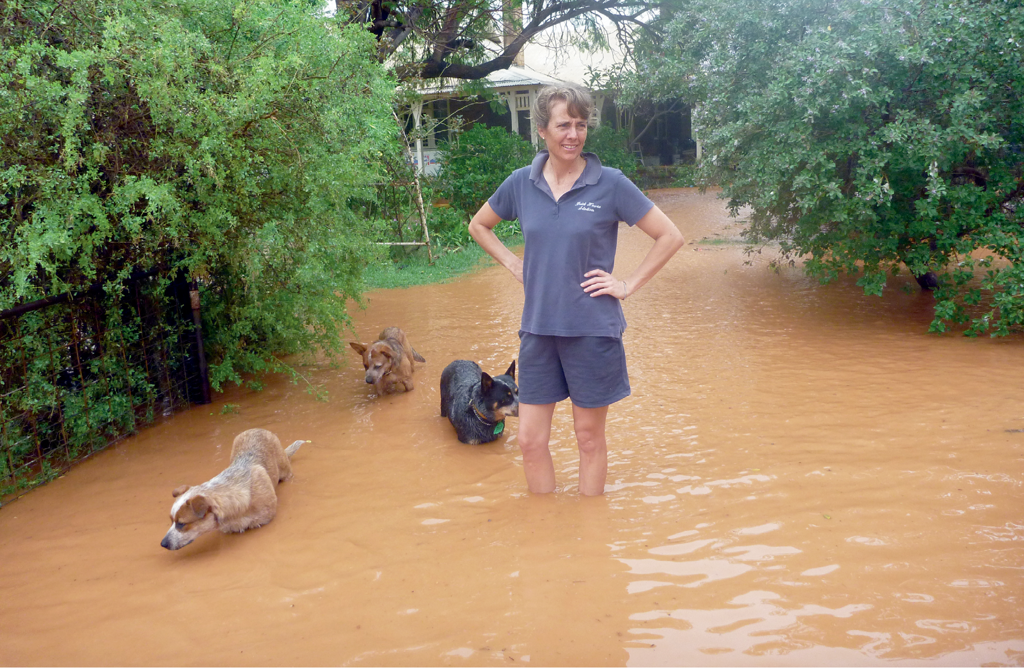 Photograph of Rebecca standing in nearly kneed-deep flood waters, along with three dogs.
