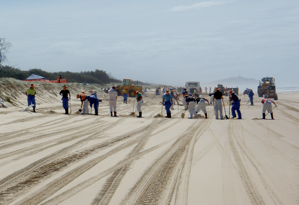 Photograph of vehicles and teams of workers shovelling sand on a beach