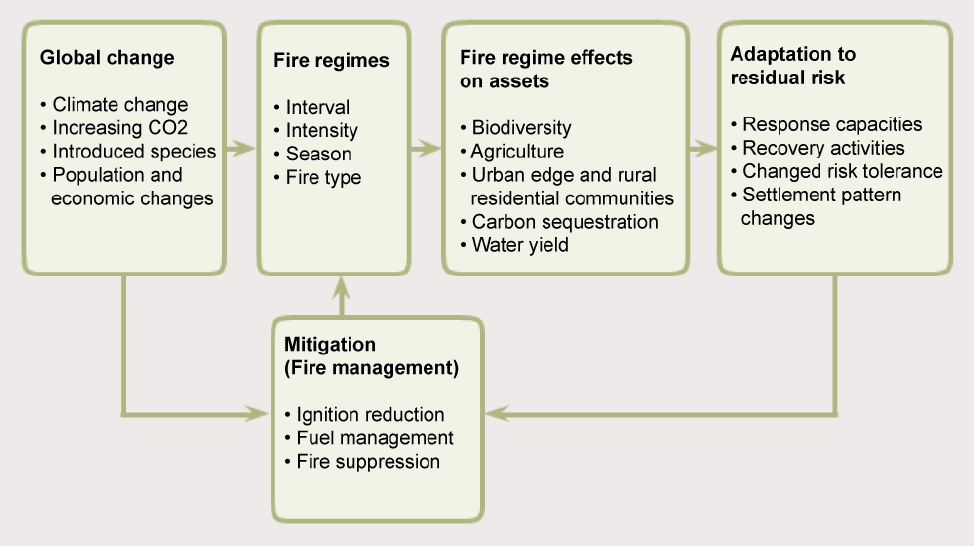 Diagram showing the relationships between global change (including climate change, increasing CO2, introduced species, and population and economic changes), fire regimes (including interval, intensity, season and fire type), fire regime effects on assets (including biodiversity, agriculture, urban edge and rural and residential communities, carbon sequestration , and water yield), adaptation to residual risk (including response capacities, recovery activities, changed risk tolerance, and settlement pattern changes), and mitigation (fire management) (including ignition reduction, fuel management and fire suppression)