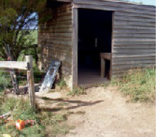 Photograph of the cave entrance protected by a small timber shed