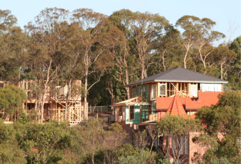 Photograph shows new houses being built in heavily wooded bushland