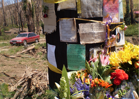 The burnt trunk of a large tree is covered with hand-written notes, photographs of people and bunches of fresh flowers. In the background are burnt gum trees.