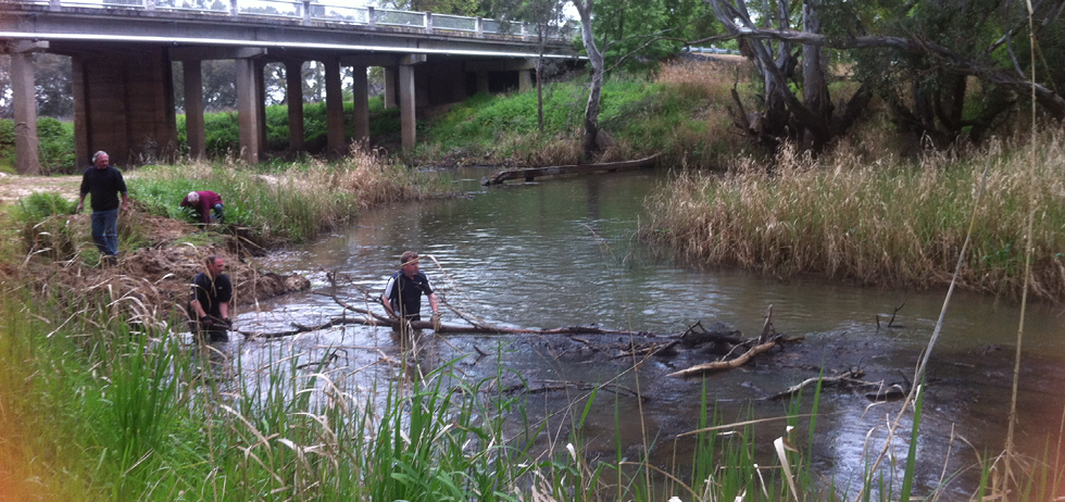 A photo of a Carisbrook creek, with a road overpass in the background. Four residents are clearing debris from the creek.