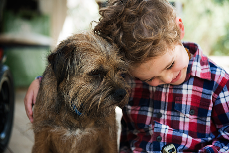 A young boy has his arm around a small dog.