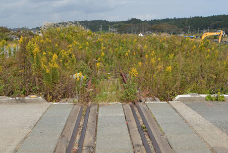 Railway tracks lead into the distance overgrown with grass and weeds.