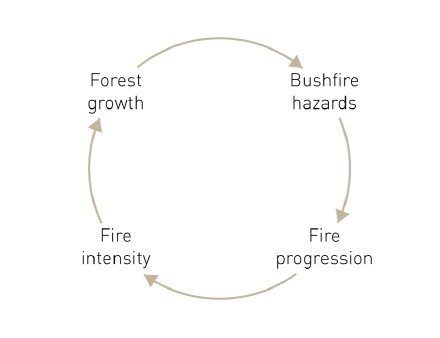 A diagram shows the following four components as a simple cycle:
Bushfire hazards, Fire progression, Fire intensity, and Forest growth.