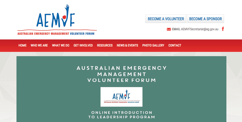 Screenshot of the AEMVF website.