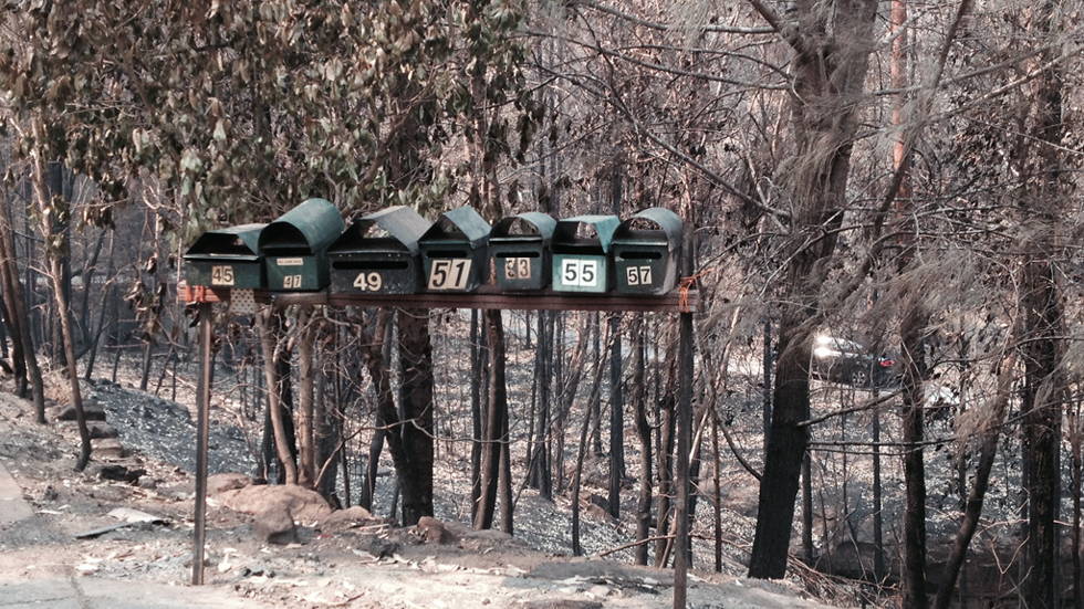 A rack of seven letter boxes stands in front of burnt forest.