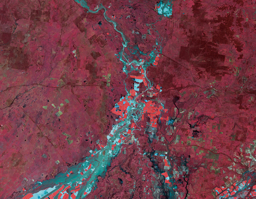 A satellite image shows the different areas of the flooded river, which runs through the middle of the image (bottom to top). The river is mostly clean water, but with patches of water with high sediment load. Most of the land surrounding the river comprises less healthy or different vegetation types. The healthy crops are mostly along the flooded river, and are often near the patches of water with high sediment load.