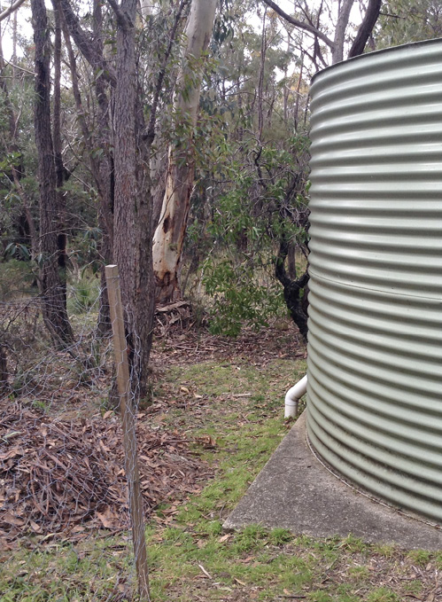 A large water tank is cleared of debris to minimise fire risk.