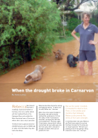 Thumbnail of When the drought broke in Carnarvon